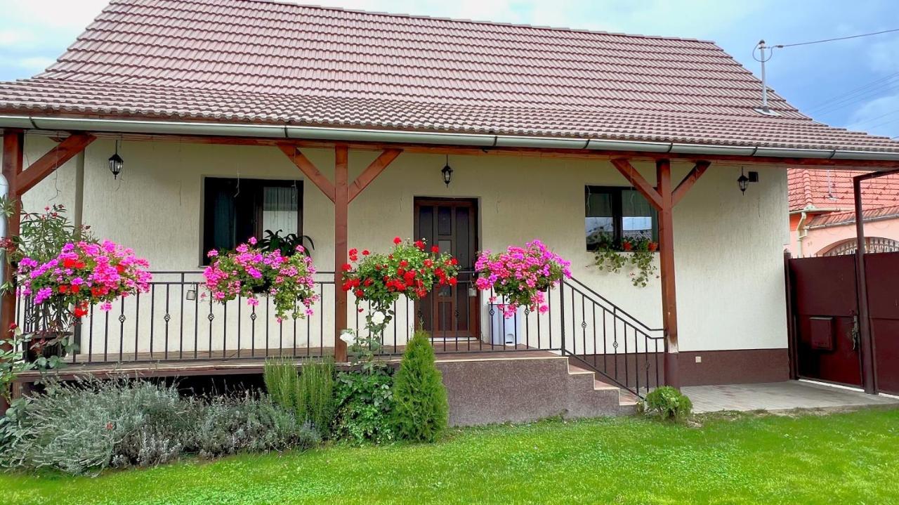 Siebenbuerger Haus Villa Sibiu Exterior foto