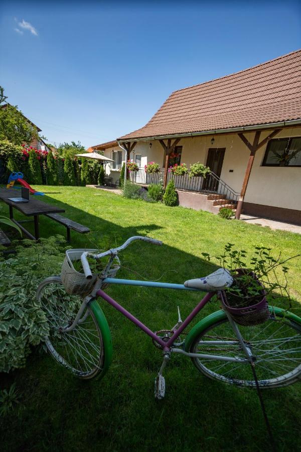 Siebenbuerger Haus Villa Sibiu Exterior foto